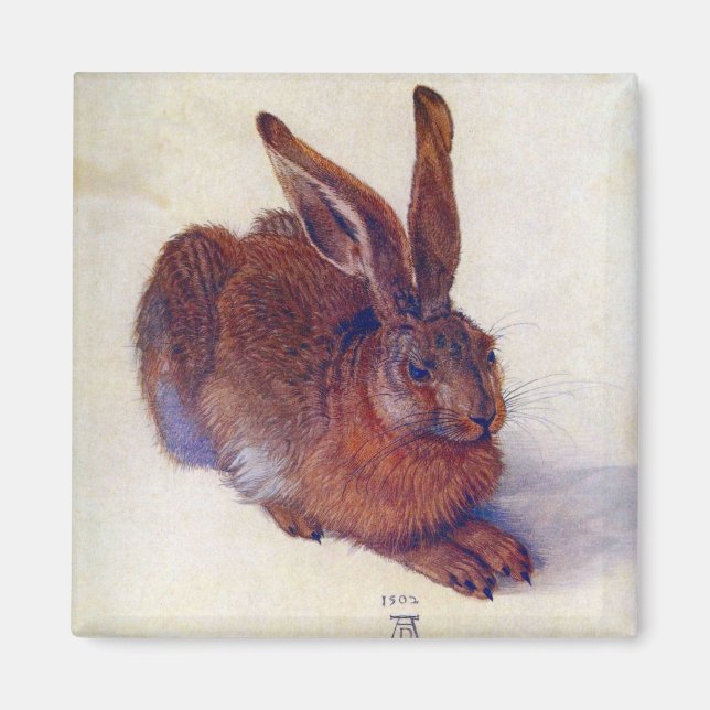 Young Hare by Albrecht Durer, Renaissance Fine Art Magnet (Vorne)
