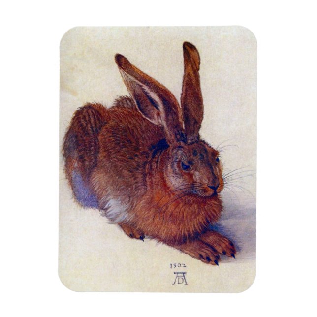 Young Hare by Albrecht Durer, Renaissance Fine Art Magnet (Vertikal)