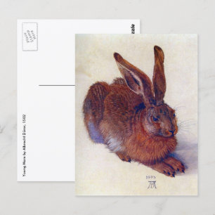 Young Hare by Albrecht Durer, Renaissance Fine Art Postkarte