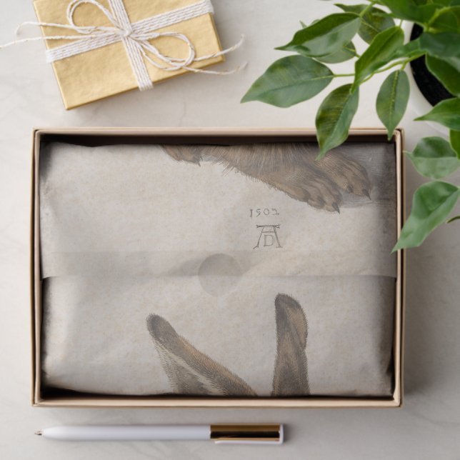 Young Hare by Albrecht Durer, Renaissance Fine Art Seidenpapier (Geschenk)