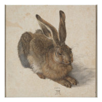 Young Hare (Durer 1502)