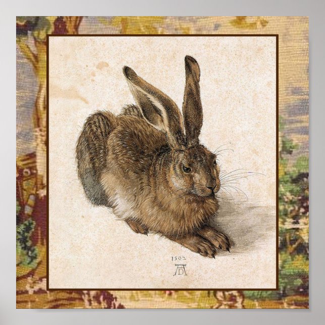 Young Hare Print Poster (Vorne)