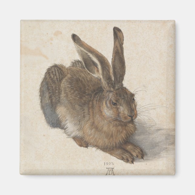 Young Hare von Albrecht Durer Magnet (Vorne)
