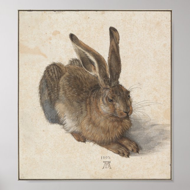 Young Hare von Albrecht Durer Poster (Vorne)