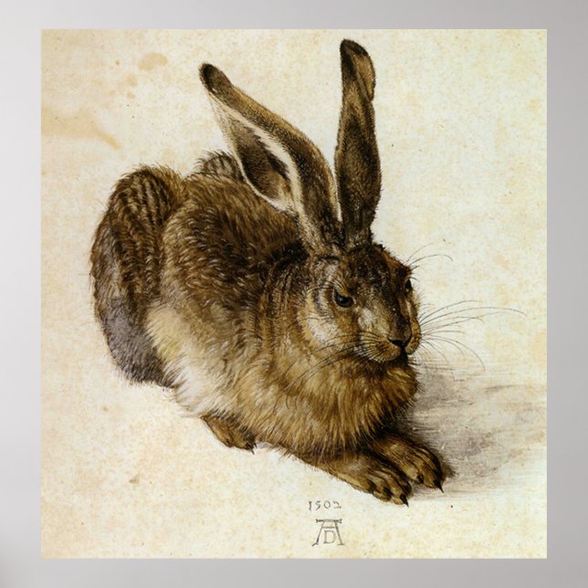 "Young Hare" von Albrecht Dürer Poster (Vorne)