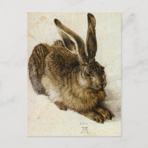 "Young Hare" von Albrecht Dürer Postkarte