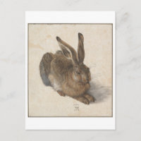 Young Hare von Albrecht Durer