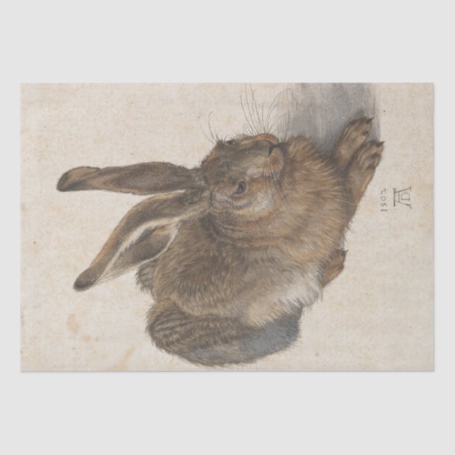 Young Hase von Albrecht Durer Seidenpapier (Vorderseite)