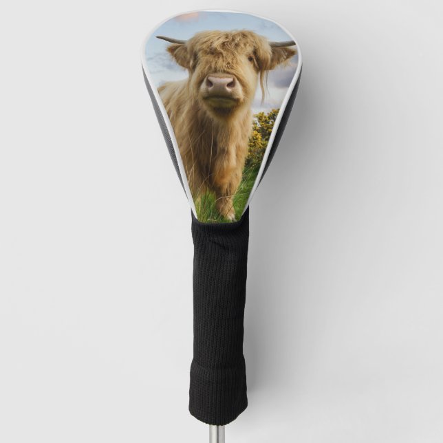 Young Highland Cow Golf Headcover (Vorderseite)
