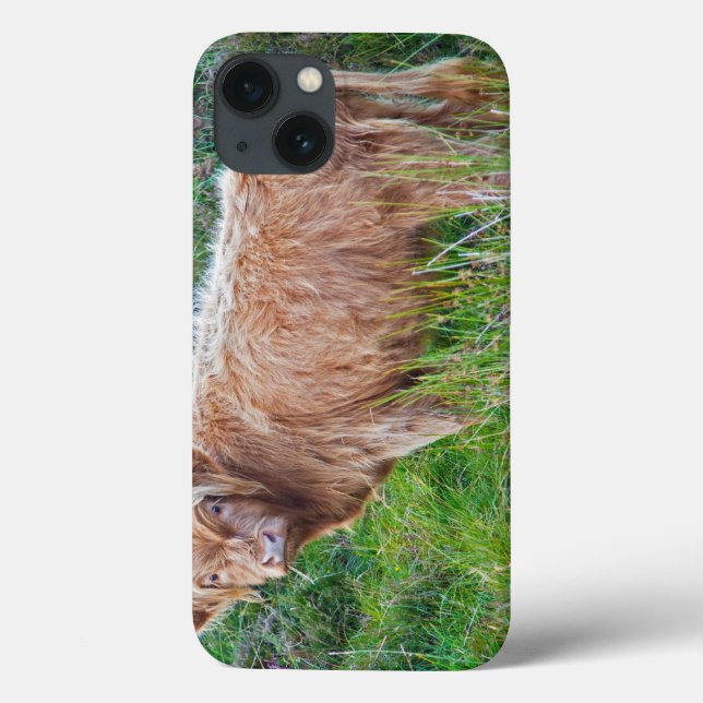 Young Highland Cow iPad Case (Rückseite)