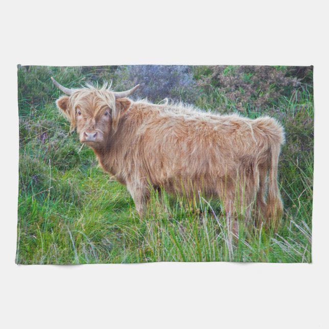 Young Highland Cow Küchentuch (Horizontal)