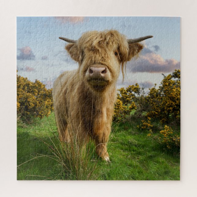 Young Highland Cow Puzzle (Vertikal)