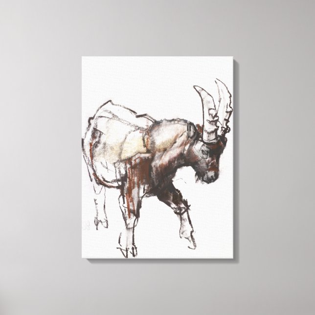 Young Ibex Gran Paradiso 2005 Leinwanddruck (Vorderseite)