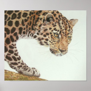 Young Leopard Painting Poster