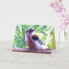 Young Male Downy Woodpecker auf Railing Karte
