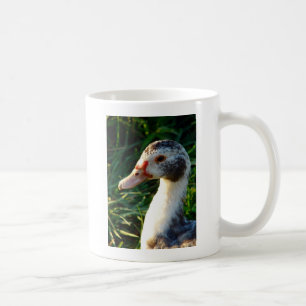 Young Muscovy Hen Duck Tasse