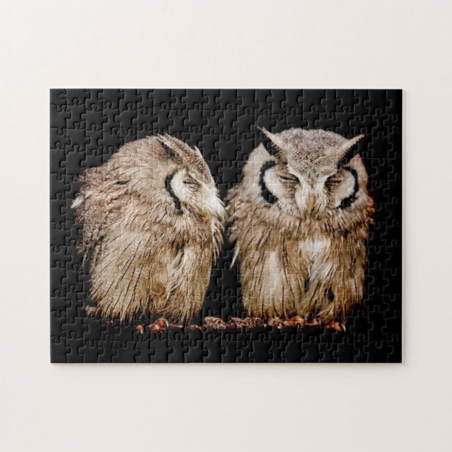 Young Owlets Puzzle (Horizontal)