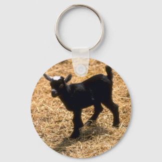 Young Pigmy Goat Schlüsselanhänger