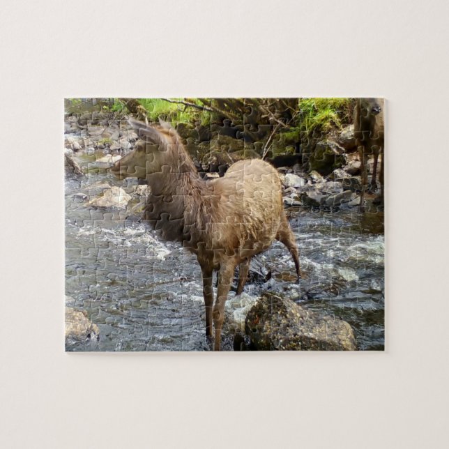 Young Red Deer am Fluss Jigsaw Puzzle (Horizontal)