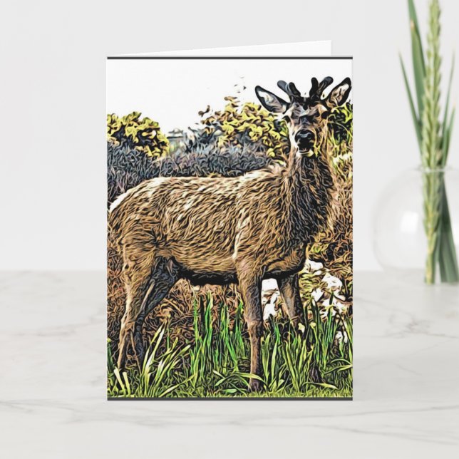 Young Red Deer Grußkarte Karte (Vorderseite)
