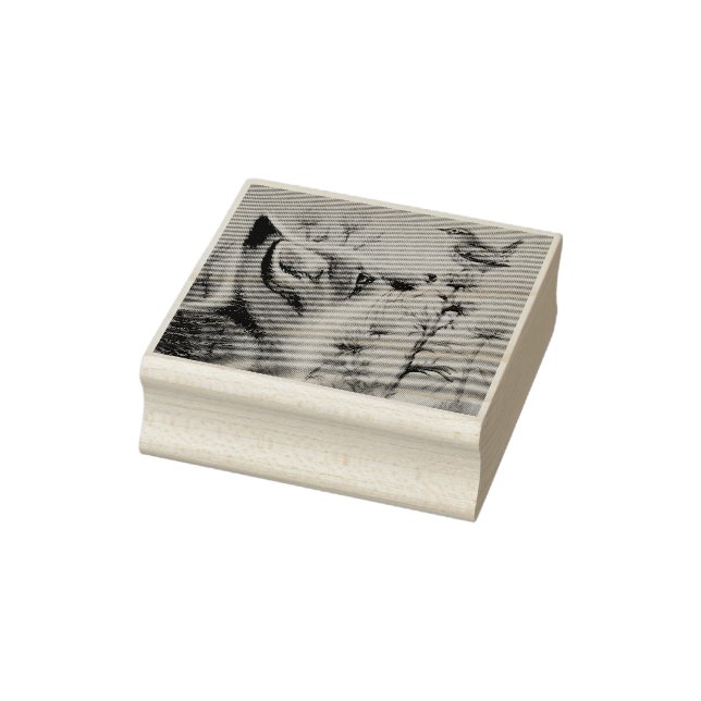 Young Red Fox & Carolina Wren Bird Wasserfarbe Kun Gummistempel (Stempel)