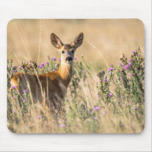 Young Roe Deer in Meadow Mousepad