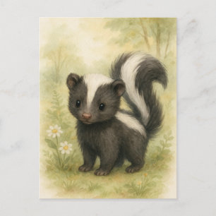 Young Skunk Baby Wild Animals Postcard Postkarte