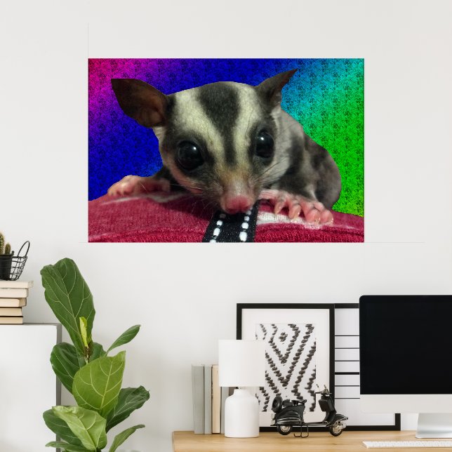 Young Sugar Glider Poster (Heimbüro)