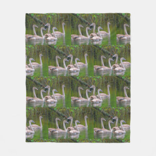 Young Swans Fleecedecke