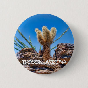Young Teddy Bear Cholla Cactus, Tucson Button