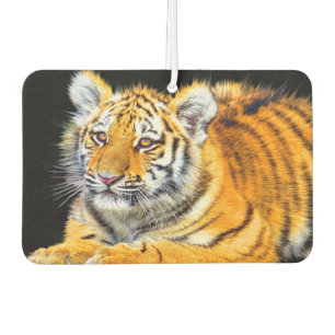 Young Tiger Autolufterfrischer