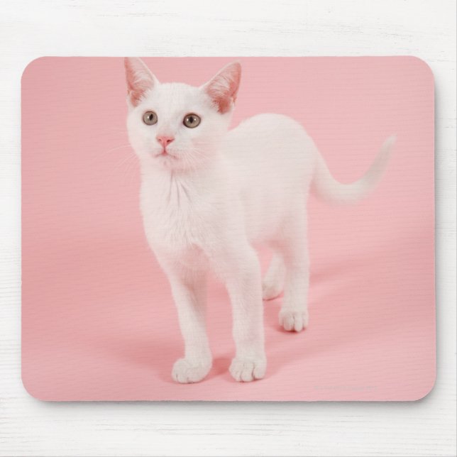 Young white cat 2 mousepad (Vorne)