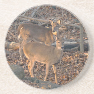 Young Whitetail Deer Series Sandstein Untersetzer