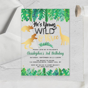 Young Wild & Three Dinosaur Boys 3. Geburtstag Acryleinladungen