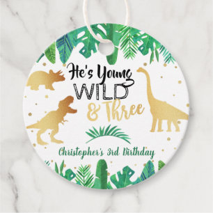 Young Wild & Three Dinosaur Boys 3rd Birthday Geschenkanhänger