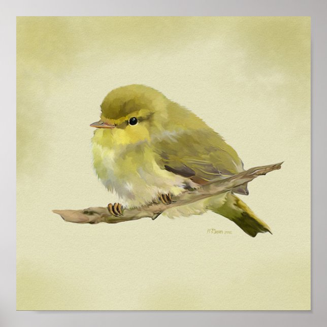 Young Wood Warbler Poster (Vorne)
