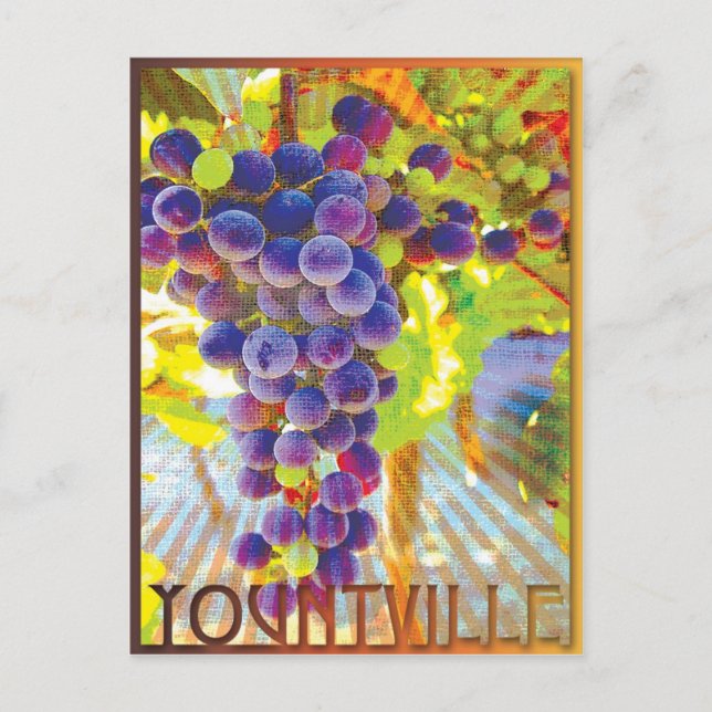 Yountville California Traubencluster Postkarte (Vorderseite)