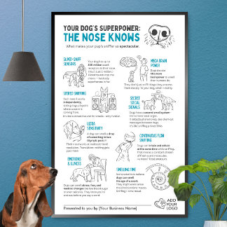 Your Dog’s Superpower - The nose knows Poster