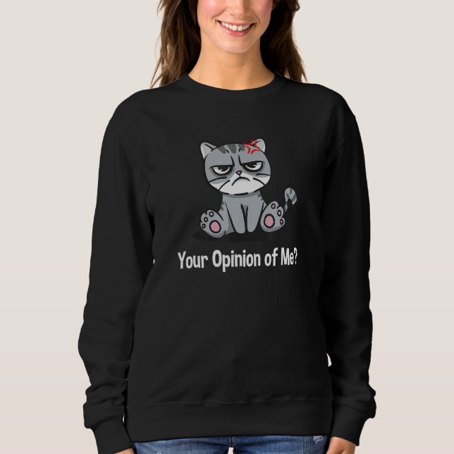 Your Opinion of Me Sarcastic Coworker Sarcasm Offi Sweatshirt (Vorderseite)