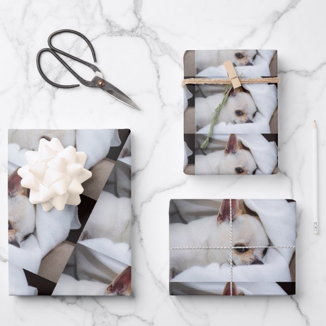 Your pet dog puppy custom photo chihuahua pattern geschenkpapier set (Vorderseite)
