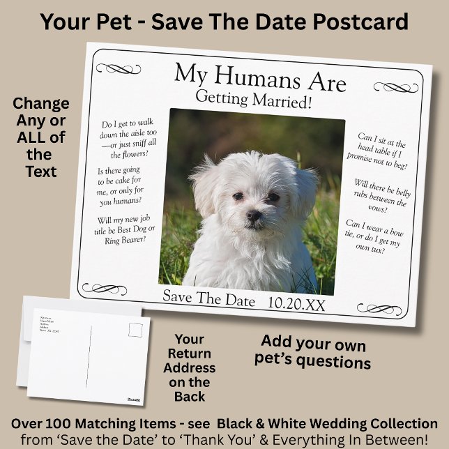Your Pet Photo Save The Date Black White Infinity Postkarte (Von Creator hochgeladen)