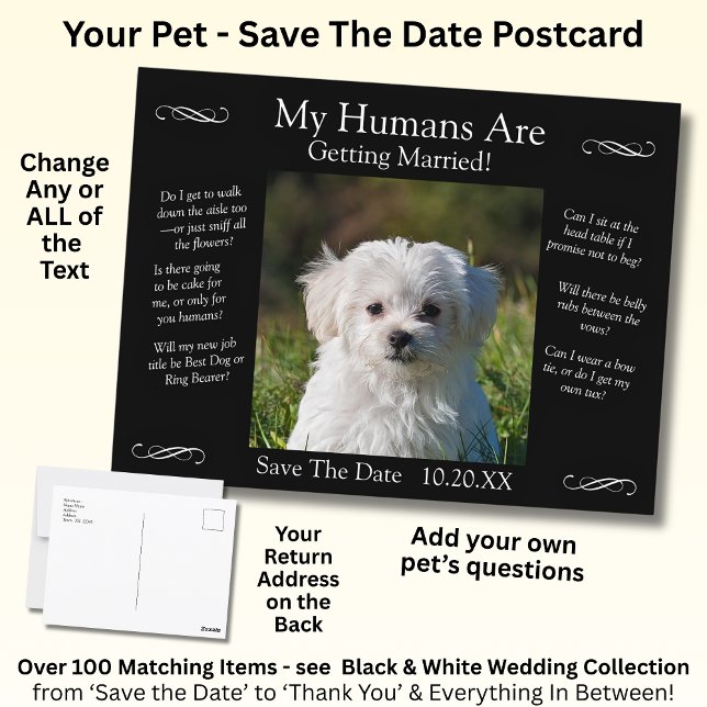 Your Pet Photo Save The Date Black White Infinity Postkarte (Von Creator hochgeladen)