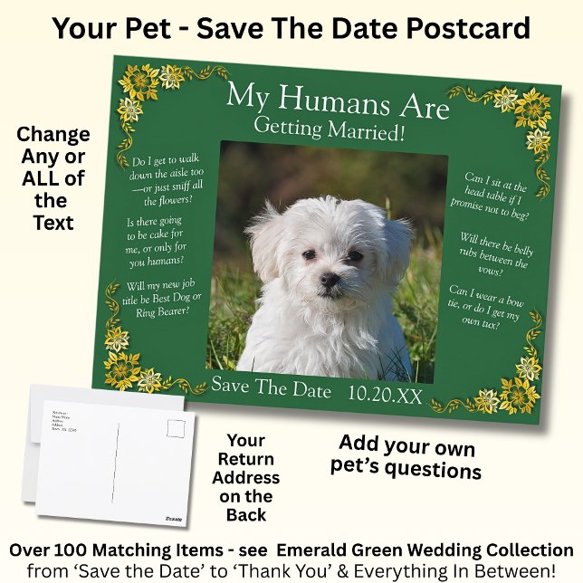 Your Pet Photo Save The Date Emerald Green & Gold Postkarte (Von Creator hochgeladen)