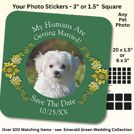 Your Pet Photo, Save The Date, Emerald Green Quadratischer Aufkleber