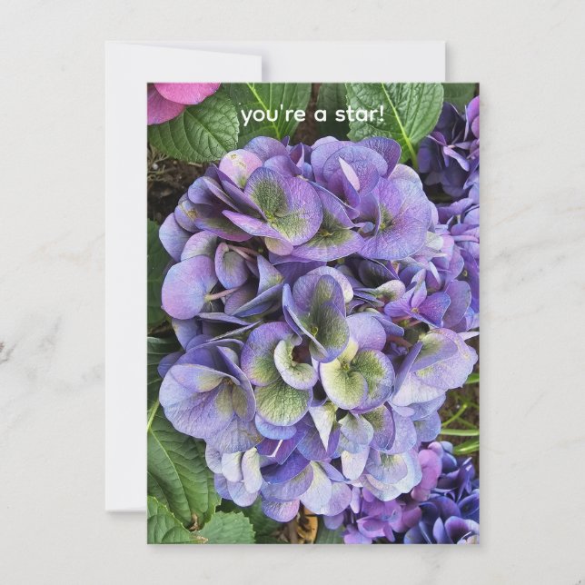 You're a star! einladung (Vorderseite)