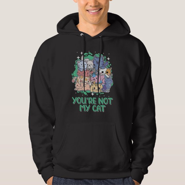 Youre Not My Cat Introvert Cat  Antisocial Kitten Hoodie (Vorderseite)