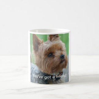 You've got a friend - Yorkshire-Terrier - Mug Kaffeetasse