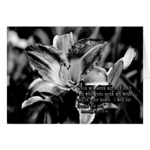 YouwillseekmeandfindmeZazzle