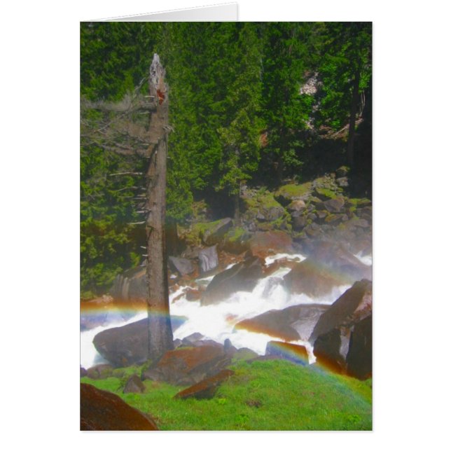 Ysemite Regenbogen (Vorne)