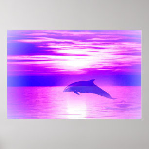 Ysundolphin Poster